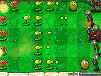 Plants vs. zombies (PvZ)