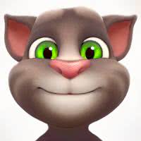 Talking Tom Cat